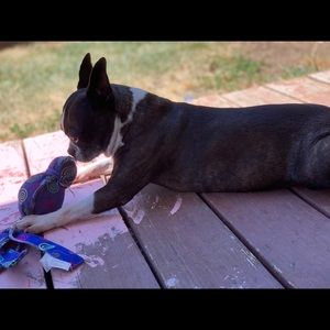 Meet your Posher, Amber